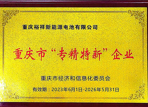 2023.6重慶市專精特新企業(yè).jpg